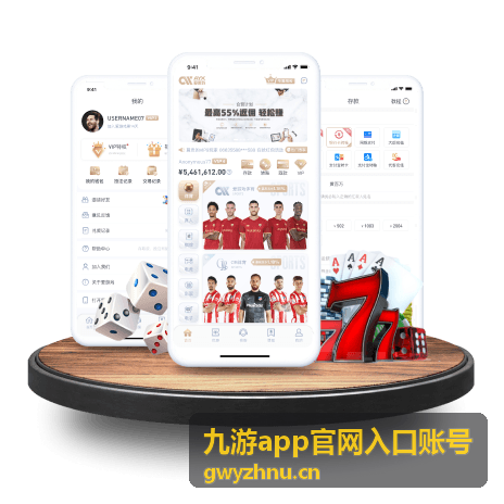 九游app官网入口账号密码找回流程示意